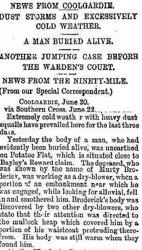 Inquirer and Commercial News 29 June 1894, page 32
