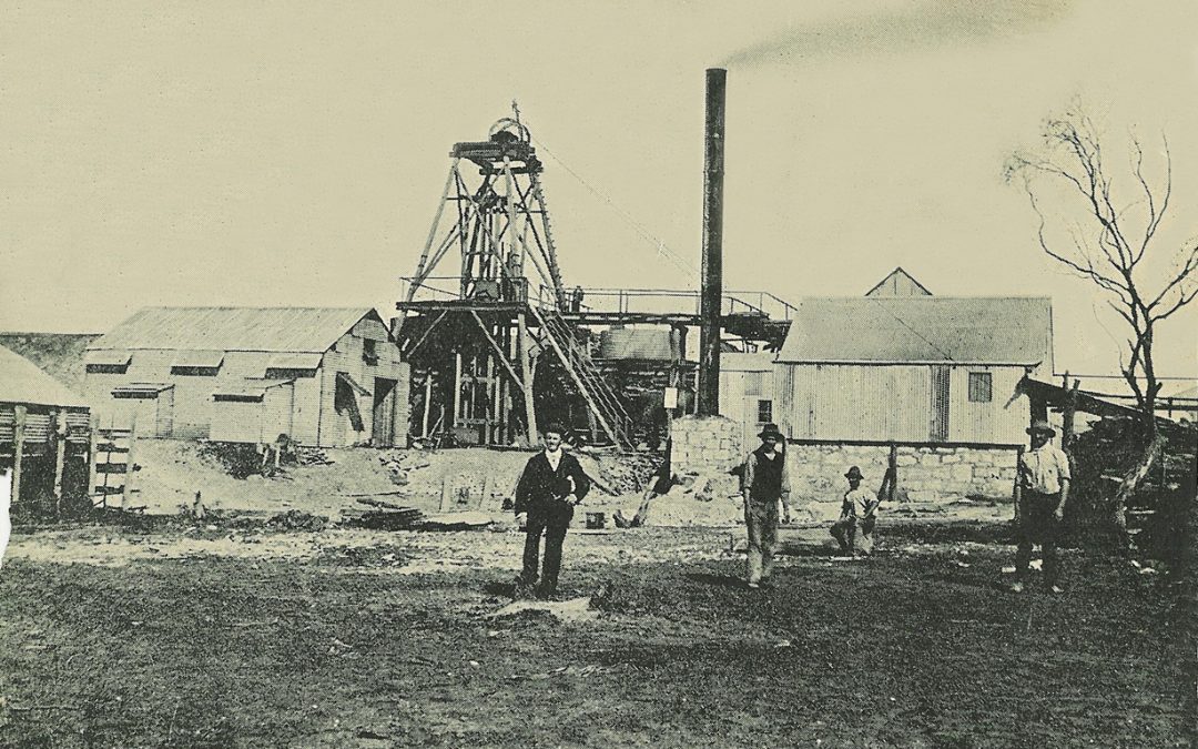 Mining Deaths in Kanowna Western Australian Virtual Miners Memorial